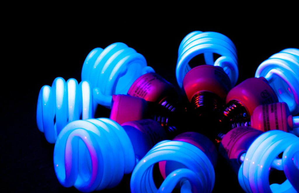 Lighting Up The Night: A Comparison of Black Lights and Blacklight Blue Bulbs