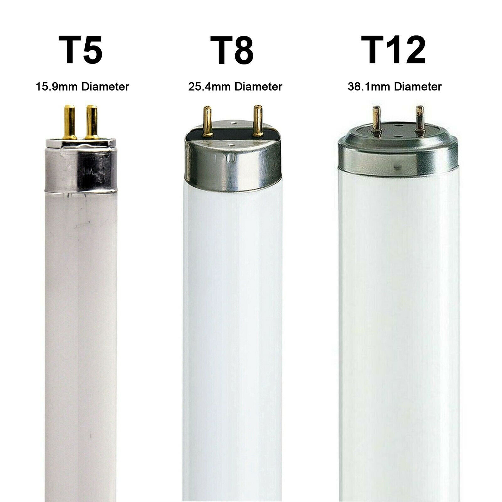 Deciphering Fluorescent Jargon: T5 vs. T8 vs. T12 Tubes Demystified
